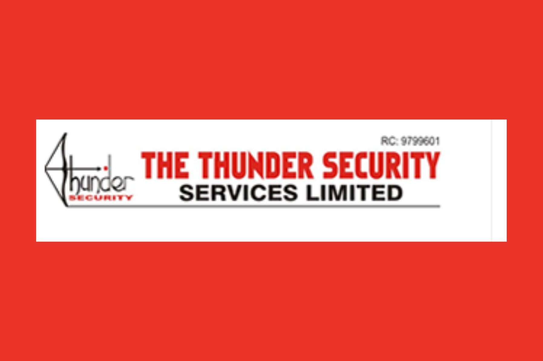 thethundersecurity.com